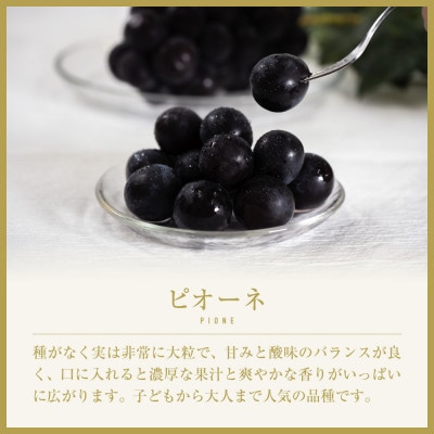 【2026年発送先行受付】山梨県山梨市産　旬の採れたてピオーネ　約1kg　2～3房【配送不可地域：離島】