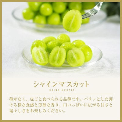 【2026年度先行受付】山梨県山梨市産　シャインマスカット　～SWEET JEWELRY～　20粒【配送不可地域：離島】