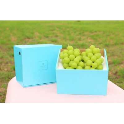 【2026年先行受付】冬季限定!!山梨県山梨市産　クリスマスシャインマスカット　約1kg　2～3房【配送不可地域：離島・沖縄県】