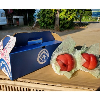 【全国的に出回らない希少桃】マンゴーネクタリンやみつきリピーター続出中2026年7月中旬より発送【配送不可地域：離島・北海道・沖縄県・中国・四国・九州】