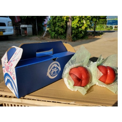 【お盆に喜ばれる贈り物】マンゴーネクタリンやみつきリピーター続出中2026年8月中旬より発送【配送不可地域：離島・北海道・沖縄県・中国・四国・九州】