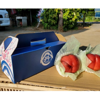 【脳を揺さぶる圧倒的糖度】マンゴーネクタリンやみつきリピーター続出中2026年8月下旬より発送【配送不可地域：離島・北海道・沖縄県・中国・四国・九州】