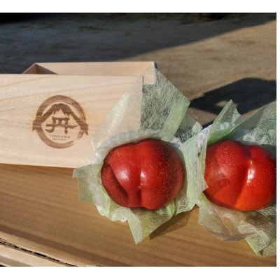 【お中元に贈る方続出】邪気を払う神聖な果物比類なき絶対糖度シャトーネクタリン2026年7月上旬発送【配送不可地域：離島・北海道・沖縄県・中国・四国・九州】