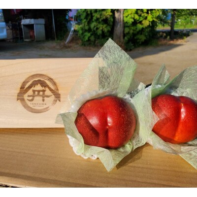 【大切な方に選ばれる贈り物】最高糖度25度比類なき絶対糖度シャトーネクタリン2026年7月中旬発送【配送不可地域：離島・北海道・沖縄県・中国・四国・九州】