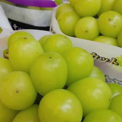 【2026年先行受付】2026年9月下旬発送「牧丘天空のシャインマスカット」 約1kg(2～3房)【配送不可地域：離島・沖縄県】