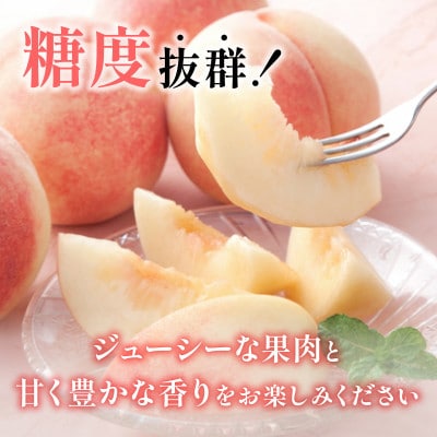 【2026年 先行受付】山梨直送!完熟桃3玉入り  ギフト化粧箱入り お試しにちょうどいいサイズ【配送不可地域：離島・沖縄県】