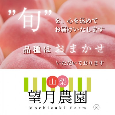 【2026年先行予約】柔らかめの品種の桃・2K(5~6個)「龍の木の実 望月のもも」【配送不可地域：離島・沖縄県】