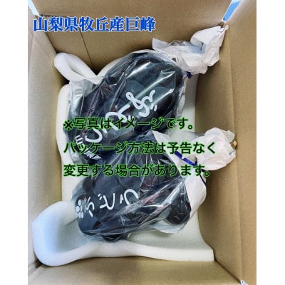 2026年先行受付  山梨県産種なし巨峰　1kg(2～3房)【配送不可地域：離島・沖縄県】