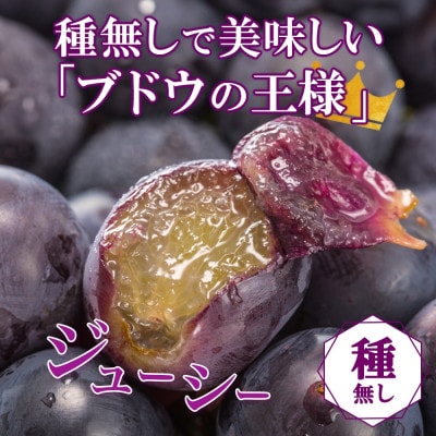 〈2026年先行予約〉濃厚な味わいが特徴!「山梨県山梨市産の巨峰 2房 約1kg」【配送不可地域：離島・沖縄県】