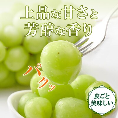 〈2026年先行予約〉果汁あふれるジューシーな「山梨市産 シャインマスカット 1房 約700g」【配送不可地域：離島】