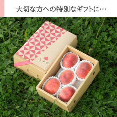 「2026年先行受付」三十屋木熟桃 【1.5kg】【配送不可地域：離島】