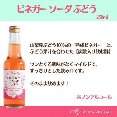 山梨産ぶどう100%の熟成ビネガーで造った!そのまま飲める「ビネガーソーダぶどう6本セット」
