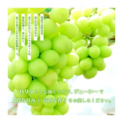 【産地直送】厳選高級シャインマスカット 2kg(3～4房)【配送不可地域：離島・沖縄県】