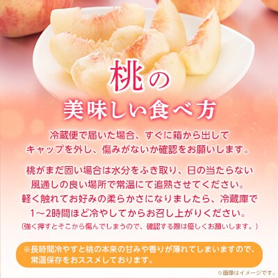 【2026年発送 先行受付】山梨厳選旬の桃 約3kg(8～12玉)【配送不可地域：離島】