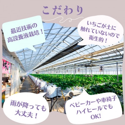 5～6品種食べ放題!いちご狩り体験2名様ご招待!