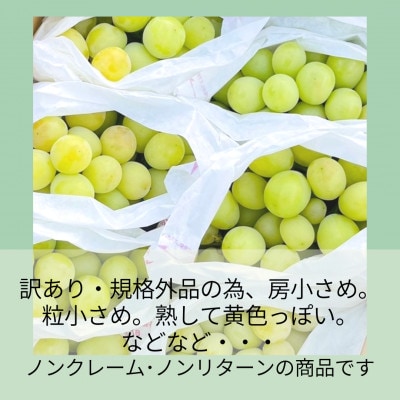 【2026年先行予約】山梨・萩原フルーツ農園の訳ありシャインマスカット(規格外 約2kg)【配送不可地域：離島】