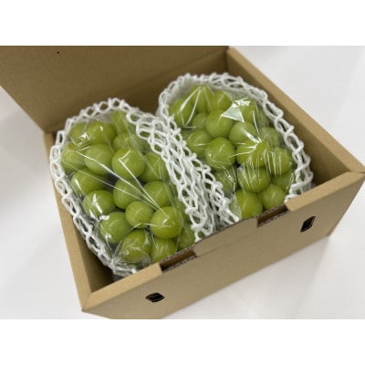 【2026年先行受付】大人気!シャインマスカット秀 1kg(2房)【配送不可地域：離島】