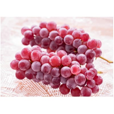 山梨市産ハウスデラウェア  1kg (6～9房)【配送不可地域：離島】