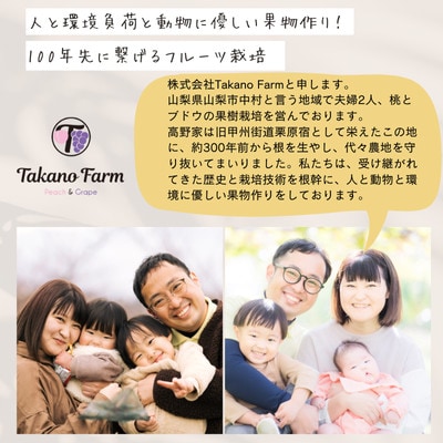 【2026年先行予約】【贈答用】完熟収穫桃 約1kg 山梨県産 自社農園産直!【配送不可地域：離島】