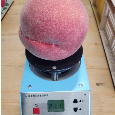 【一般市場に一切出回る事のない】1000個中1個の希少性『幻のシャトーブリアン桃』8月中旬～順次発送【配送不可地域：離島・北海道・沖縄県・中国・四国・九州】