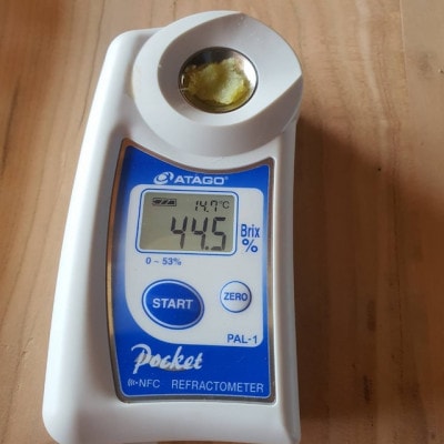 【最高糖度50度】ひた隠しにしてきた100日熟成ギリギリまで糖化シャトーブリアン焼き芋12月下旬発送