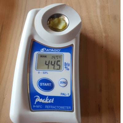 【比類なき幻の焼き芋】100日熟成ギリギリまで糖化したシャトーブリアン焼き芋2026年2月上旬～発送【配送不可地域：離島】