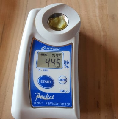 【驚異の最高糖度50度超え】ギリギリまで糖化させた幻のシャトーブリアン焼き芋2026年1月下旬～発送【配送不可地域：離島】