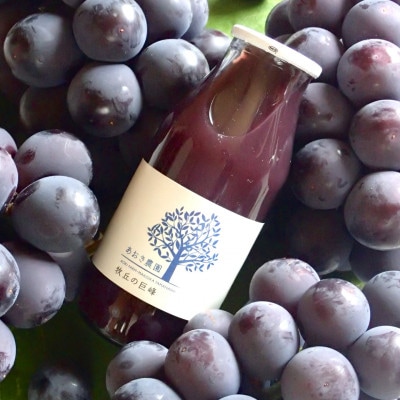 山梨産フルーツジュースセット