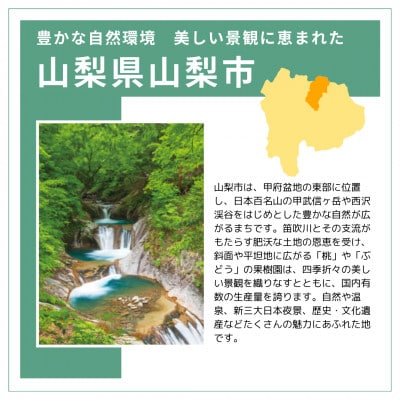 【返礼品なし】山梨県山梨市への応援寄附金(1口1,000円)