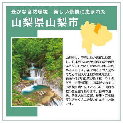 【返礼品なし】山梨県山梨市への応援寄附金(1口10,000円)