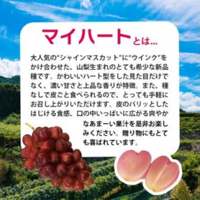 【2026年9月上旬より発送予定】マイハート1房 500g以上 ハート形のかわいい葡萄【配送不可地域：離島】