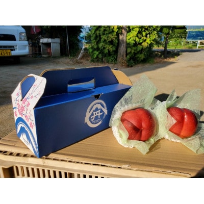 【今しか食べられない初物マンゴーネクタリン】脳内に直接響く圧倒的糖度 6月下旬より順次発送 約1kg【配送不可地域：離島・北海道・沖縄県・中国・四国・九州】