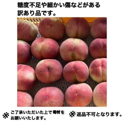 2026年 先行受付【訳あり】桃 2kg以上【配送不可地域：離島】