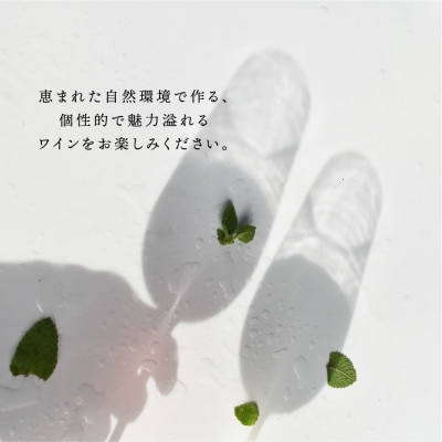 山梨市産推奨ワイン　3本セット