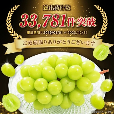 2026年度先行予約 フルーツ王国山梨 厳選 シャインマスカット 6～8房(約4kg) 2kg×2箱【配送不可地域：離島】