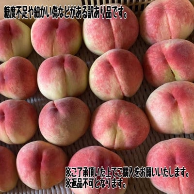 【2026年先行受付】訳あり桃!3kg前後 ご家庭用 加工用に!【配送不可地域：離島】