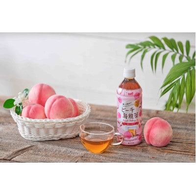 サーフ　ピーチ烏龍茶　500ml×24本