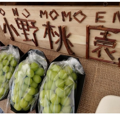 【先着100箱限定】ギリギリまで完熟させた市場に出回らない『樹上完熟シャインマスカット』約2kg【配送不可地域：離島】