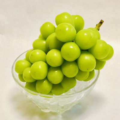 【2026年発送】サンシャインレッド＆シャインマスカット 贅沢2色食べ比べ 計1kg 【農福連携】【配送不可地域：離島】