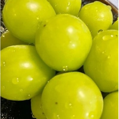 【2026年先行予約】2026年10月中旬発送「牧丘天空の丘シャインマスカット」約1kg(2～3房)【配送不可地域：離島】