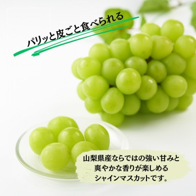 【2026年先行受付】大人気! シャインマスカット秀 2kg(3～5房)【配送不可地域：離島】