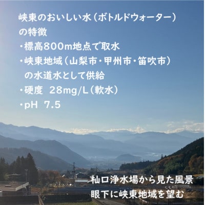 峡東のおいしい水 500ml×24本(1ケース)