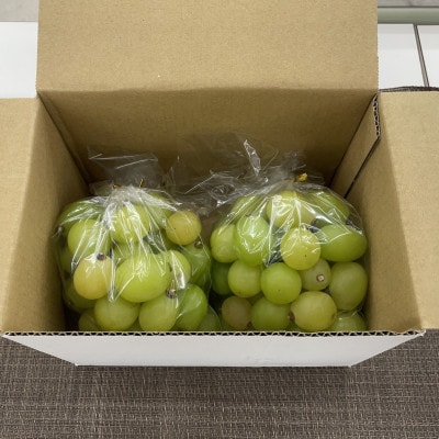 【2026年発送】【訳あり】山梨市産シャインマスカットつぶつぶ 1kg【配送不可地域：離島・沖縄県】