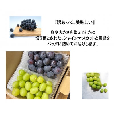【2026年先行受付】訳あり カット シャインマスカット カット 巨峰 計1kg【配送不可地域：離島・沖縄県】