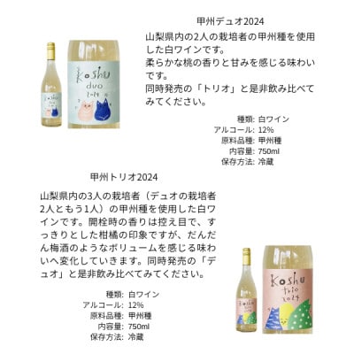 三養醸造の飲み比べセット 甲州デュオ/甲州トリオ 750ml×2本【配送不可地域：離島】