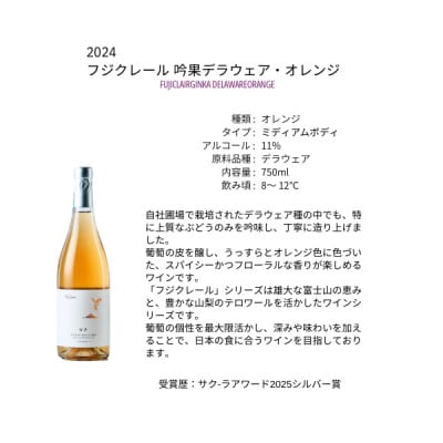 フジクレールワイナリー 吟果デラウェア・オレンジ 750ml×1本