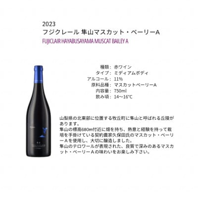 フジクレールワイナリー 隼山マスカット・ベーリーA 750ml×1本