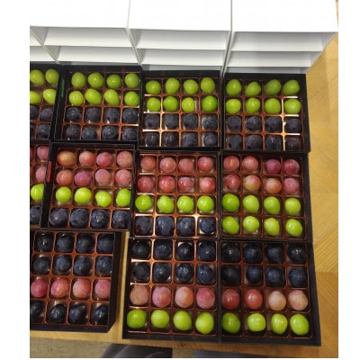 【2026年先行受付】ぶどうが光り輝く宝石に!!牧丘天空の丘ブランドぶどうの宝石箱 約700g【配送不可地域：離島】