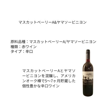 東晨洋酒 マスカットベーリーA＆ヤマソービニヨン 無添加ワイン