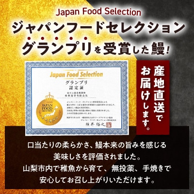 【訳あり】山梨県産富士山脈の地下水うなぎの蒲焼(1尾・約130g以上+100g肝焼きセット)【配送不可地域：離島】